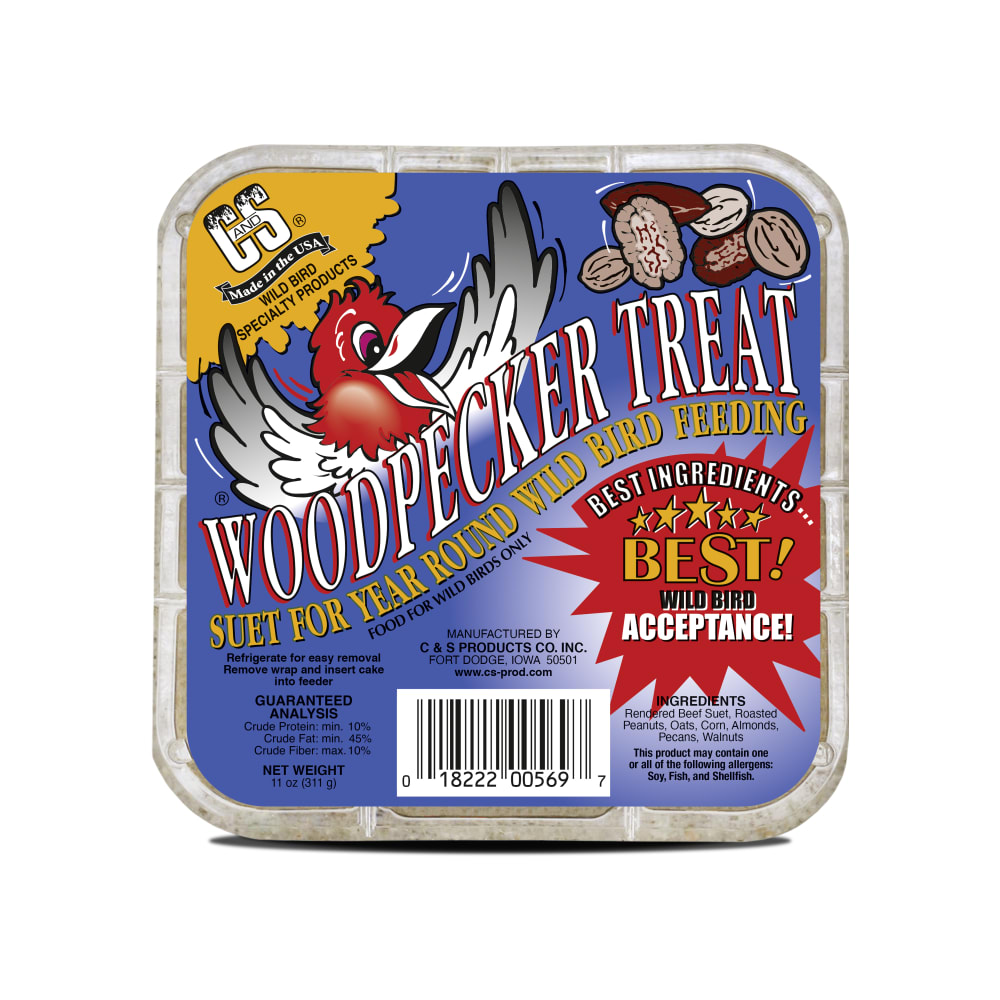 sapm100214335-front01