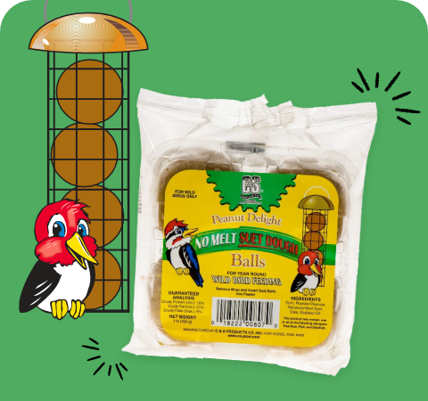 Suet Dough Balls   Stat 3  1