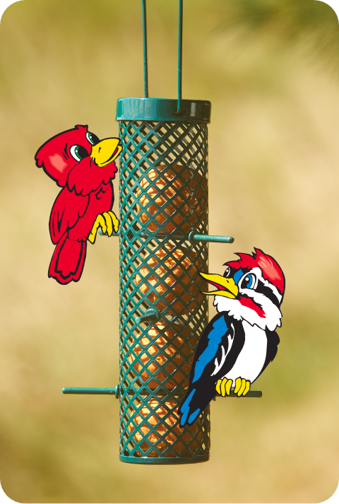 Suet Dough Balls  image 1  1