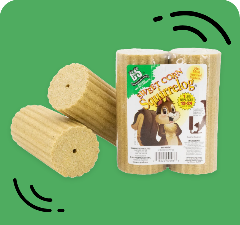 Suet Logs  Stat 2