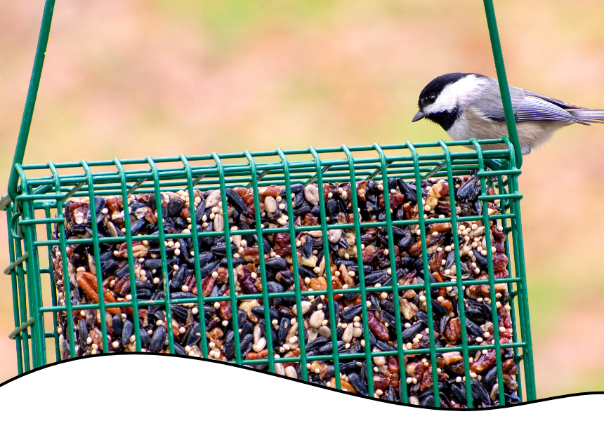 Header-Contact Us Mobile