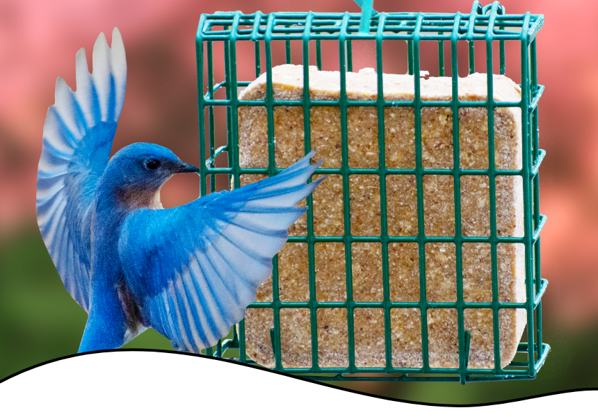 Header-Header-Blog Listing Mobile