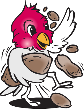 cartoon bird holding suet