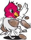 Mobile Bird suet