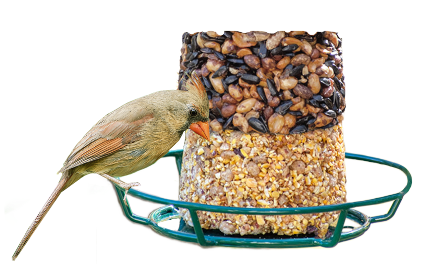 Product Category - Get in Touch