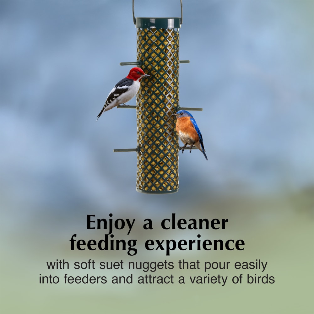 Enjoy a cleaner feeding experience with soft suet nuggets that pour easily into feeders