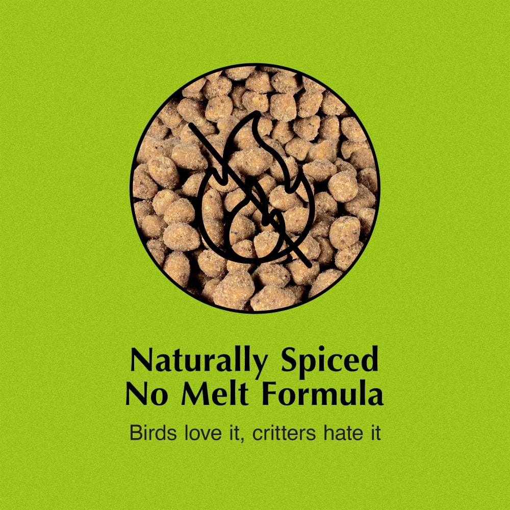Naturally spiced, No Melt Formula