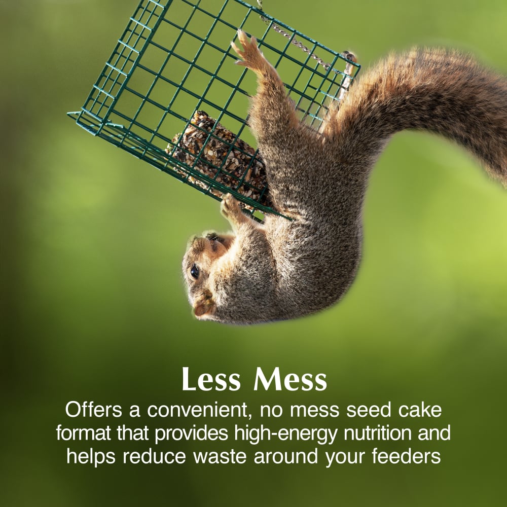 A convenient no mess seed cake that provide high-energy nutrition & reduces waste