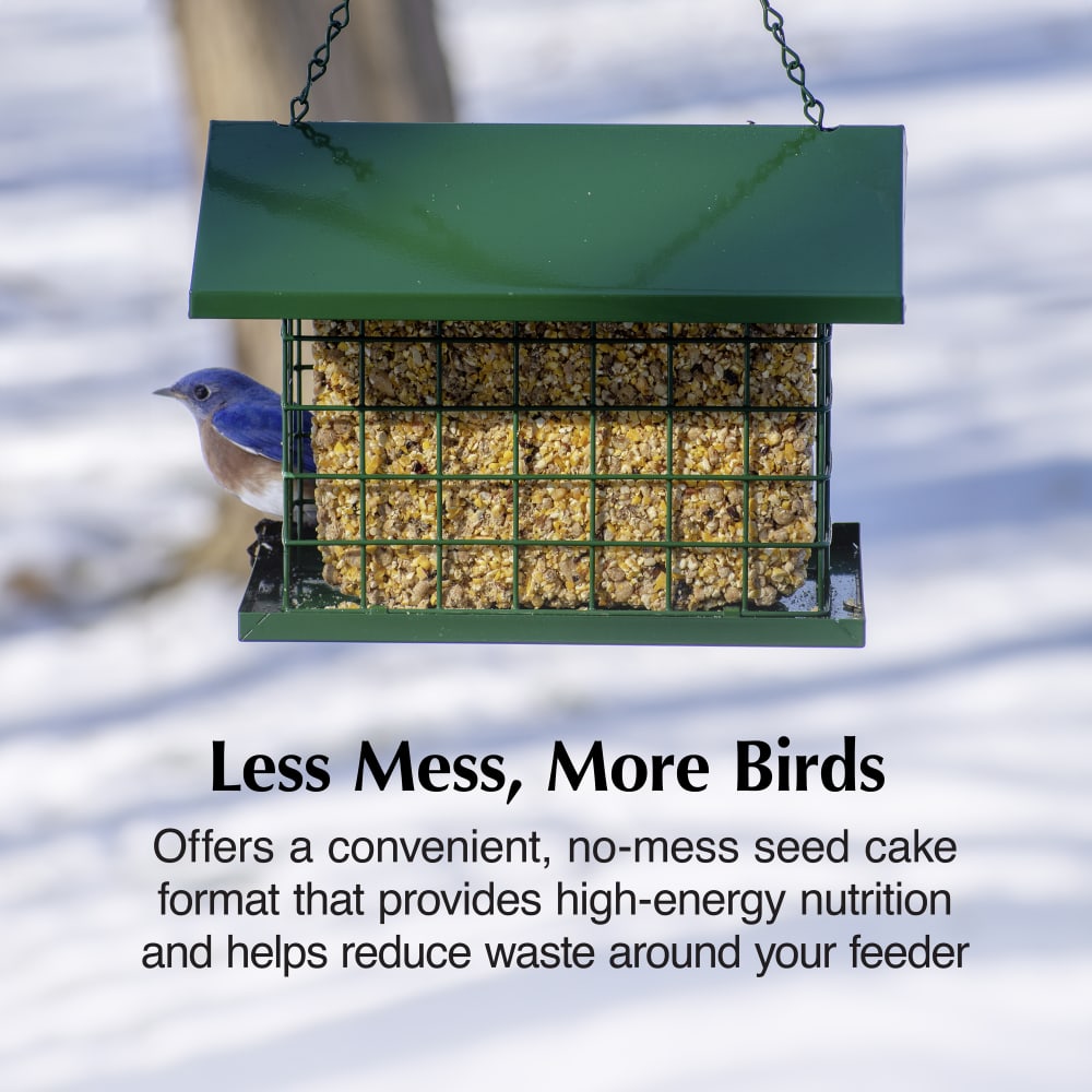 Convenient no-mess seed cake format that provides high-energy nutrition