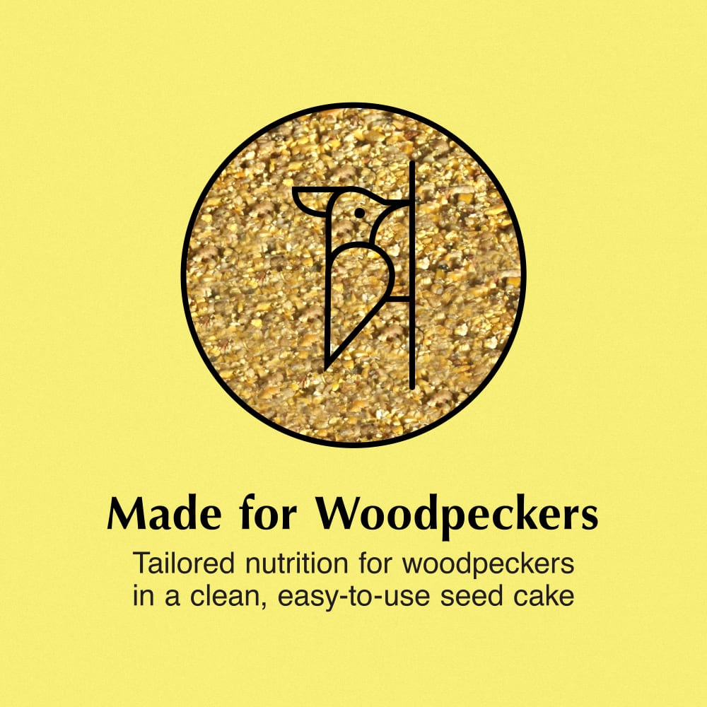 Tailored nutrition for woodpeckers in an easy-to-use seed cake