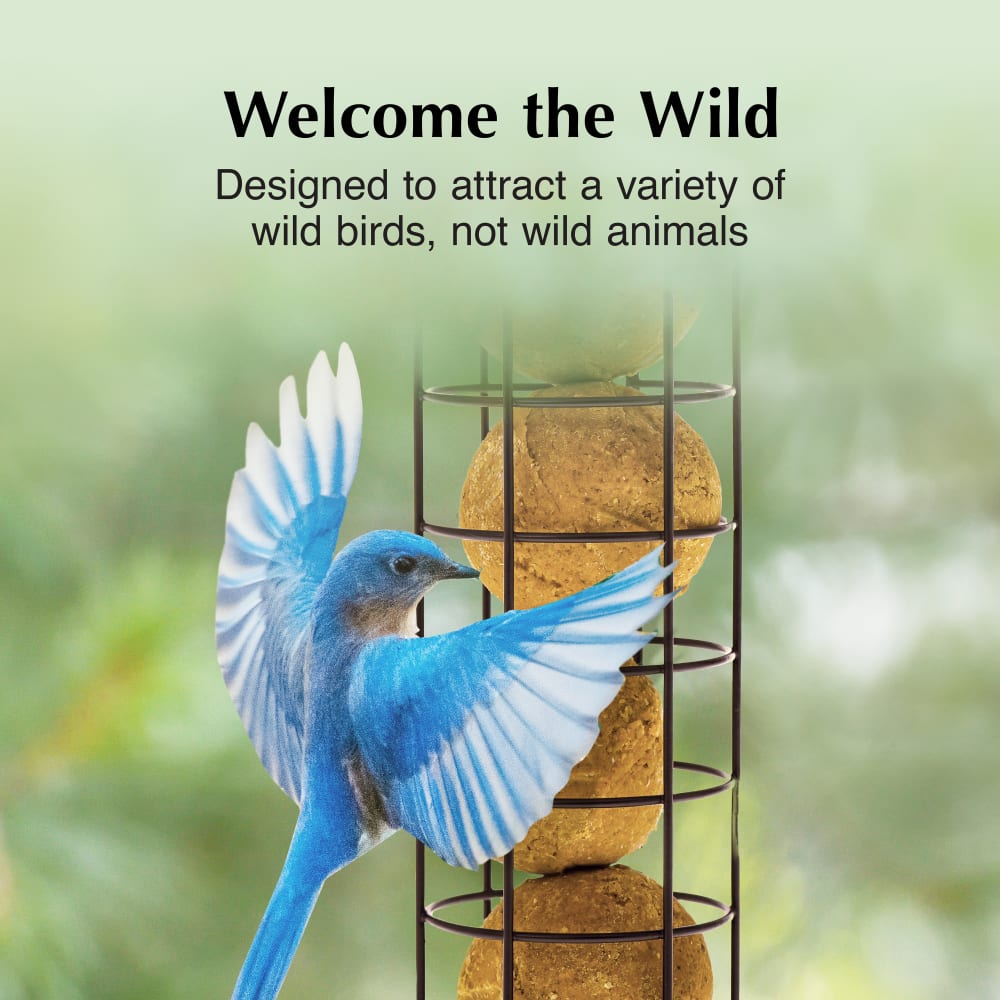 Attract a variety of wild birds, not wild animals