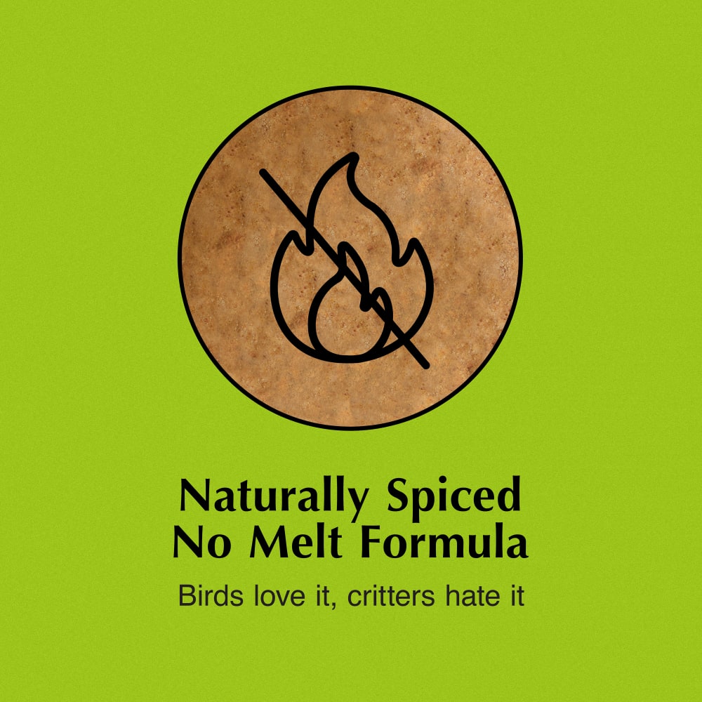 Naturally Spiced No Melt Formula