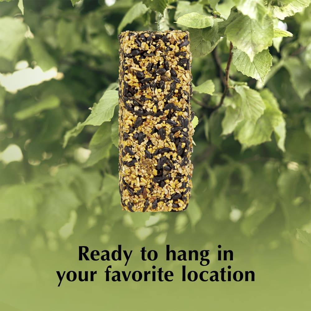 Ready to hang in your favorite location