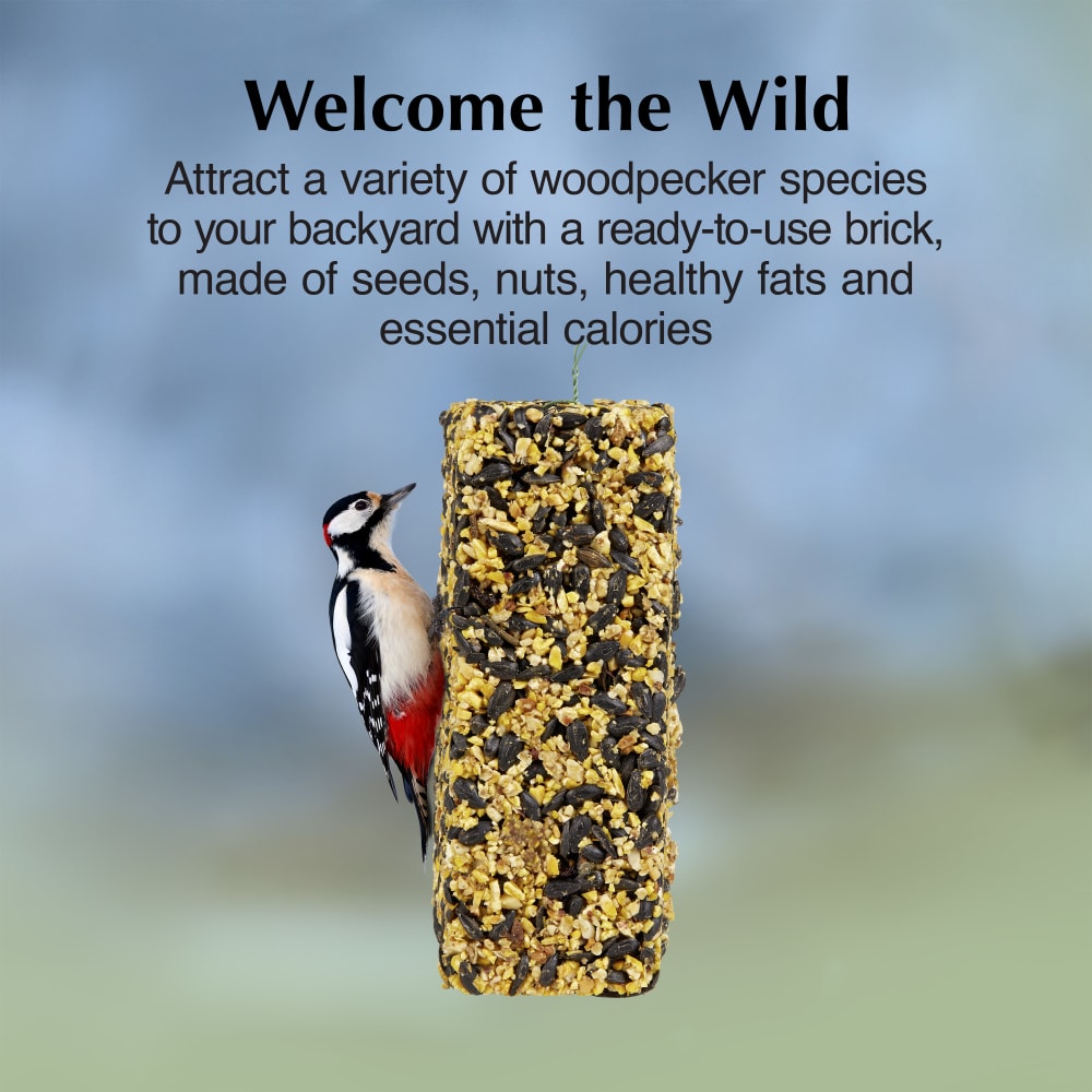 Attract a variety of woodpeckers to your backyard
