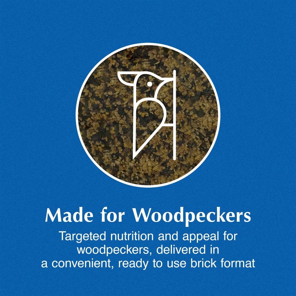 Made for Woodpeckers