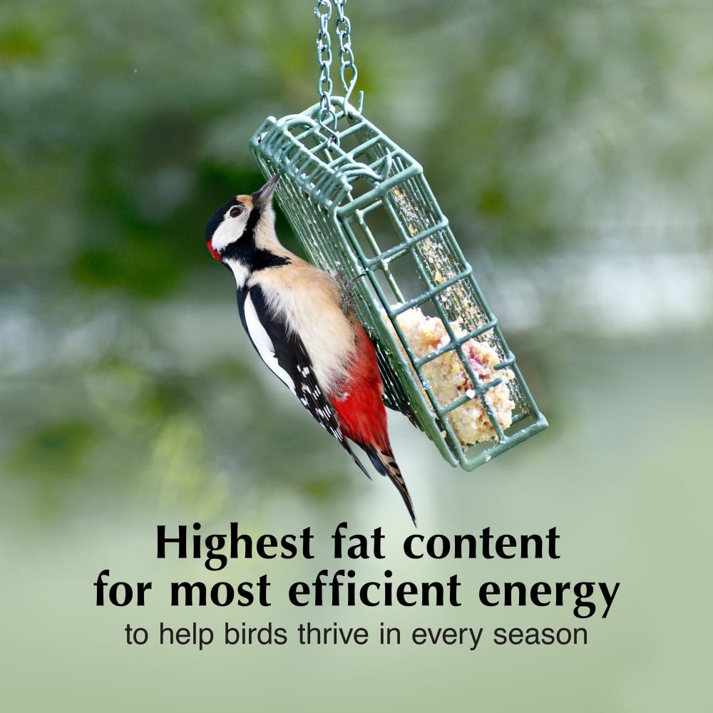 Highest fat content for most efficient energy to help birds thrive in every season