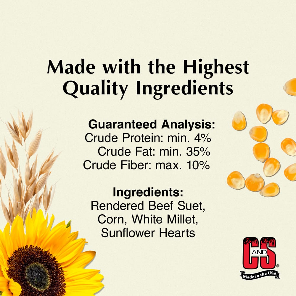 sapm100214331-infographic01