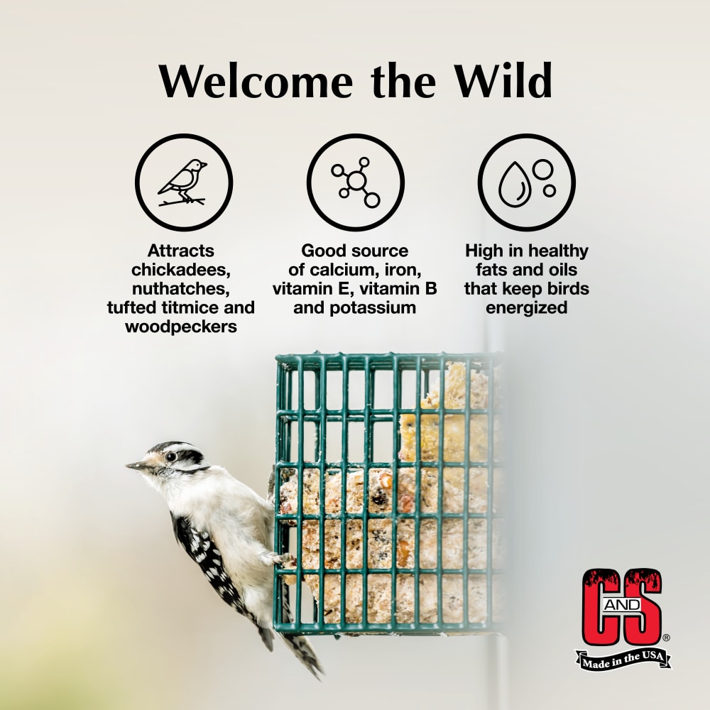 sapm100214331-infographic02