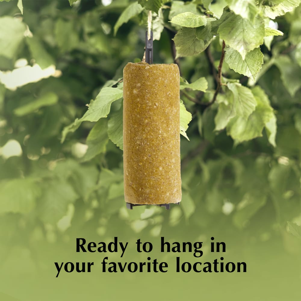 Ready to hang in your favorite location
