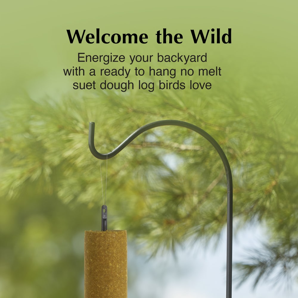 Energize your backyard with a ready to hang no melt suet dough log birds love