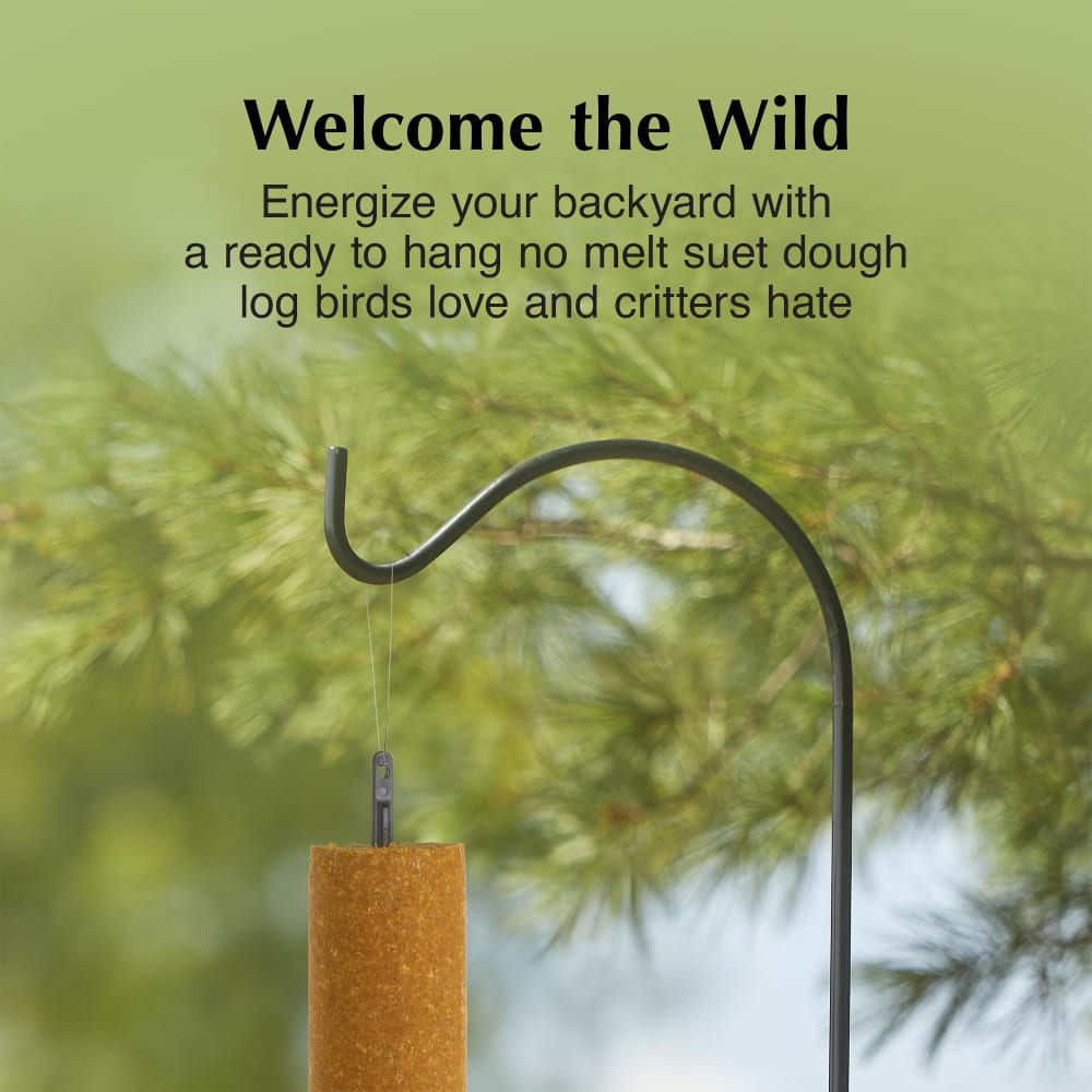 Energize your backyard with a ready to hang no melt suet dough log birds love