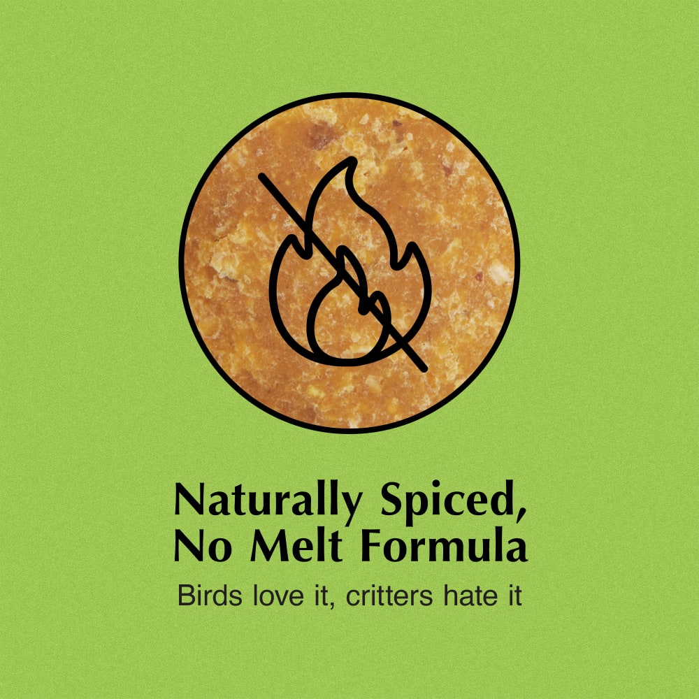 No melt formula