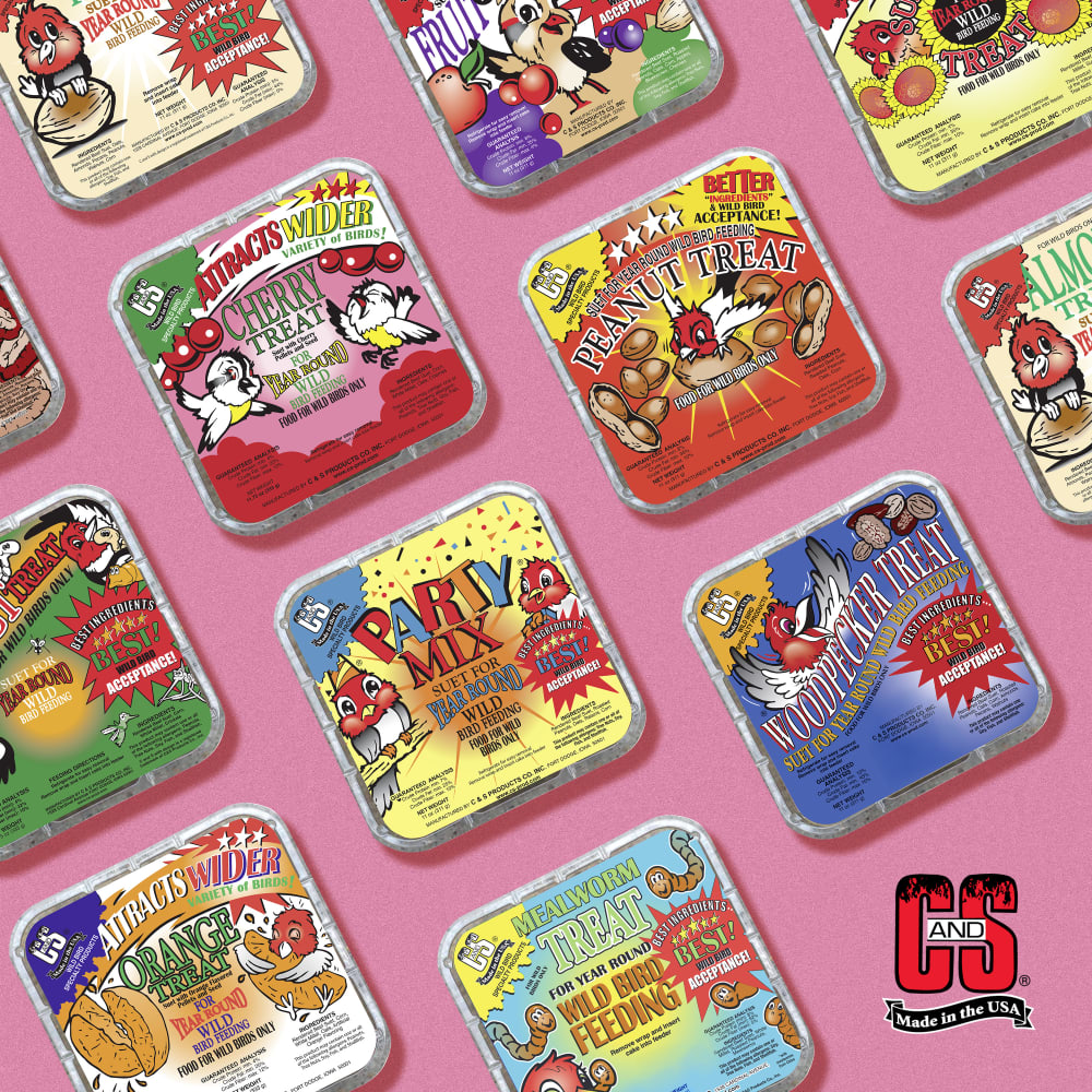 Image of several varieties of suet dough displayed on a green background