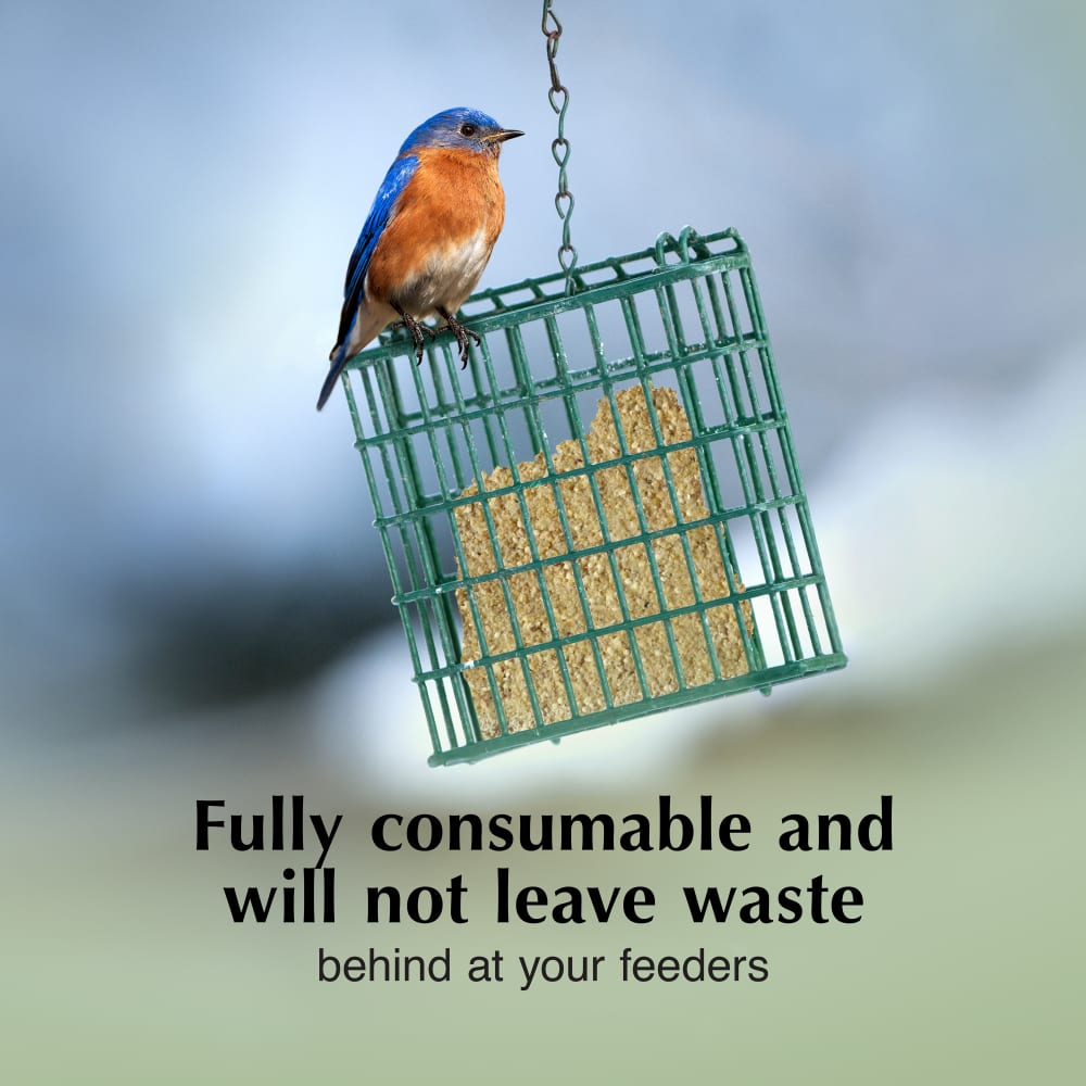 Fully consumable and will not leave waste behind at your feeders