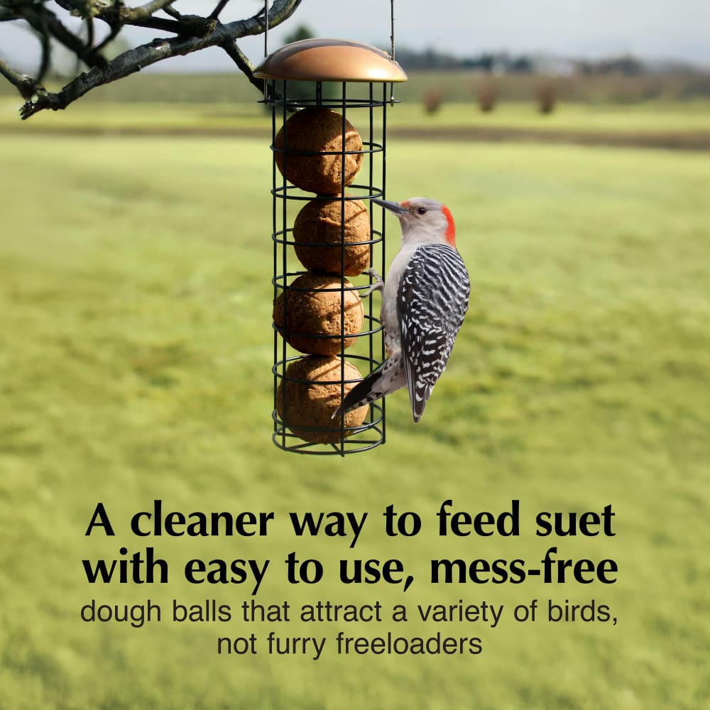 A cleaner way to feed suet with easy to use, mess-free dough balls