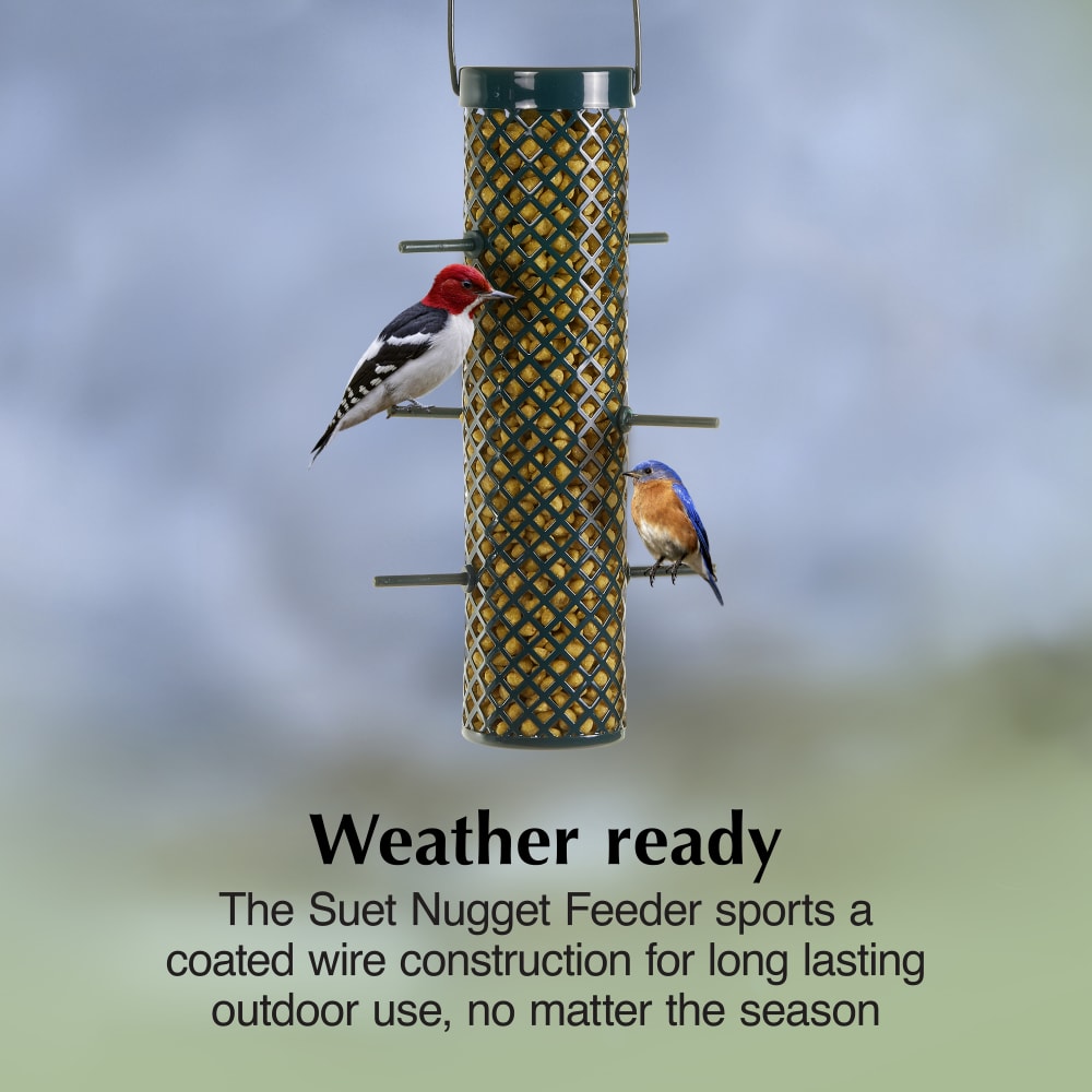 The suet nugget feeder sports a coated wire contruction for long lasting outdoor use