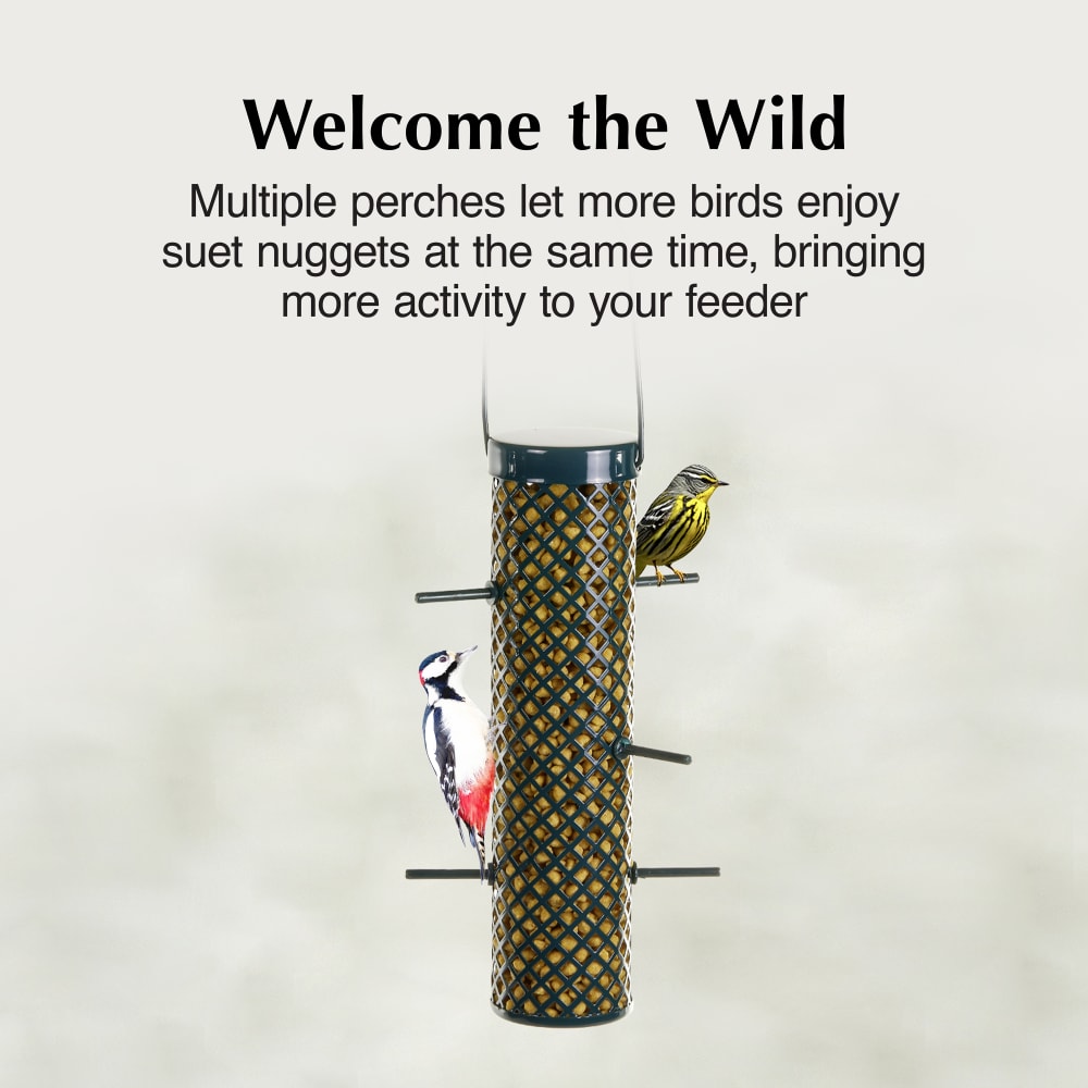 Multiple perches let more birds enjoy suet nuggets at the same time