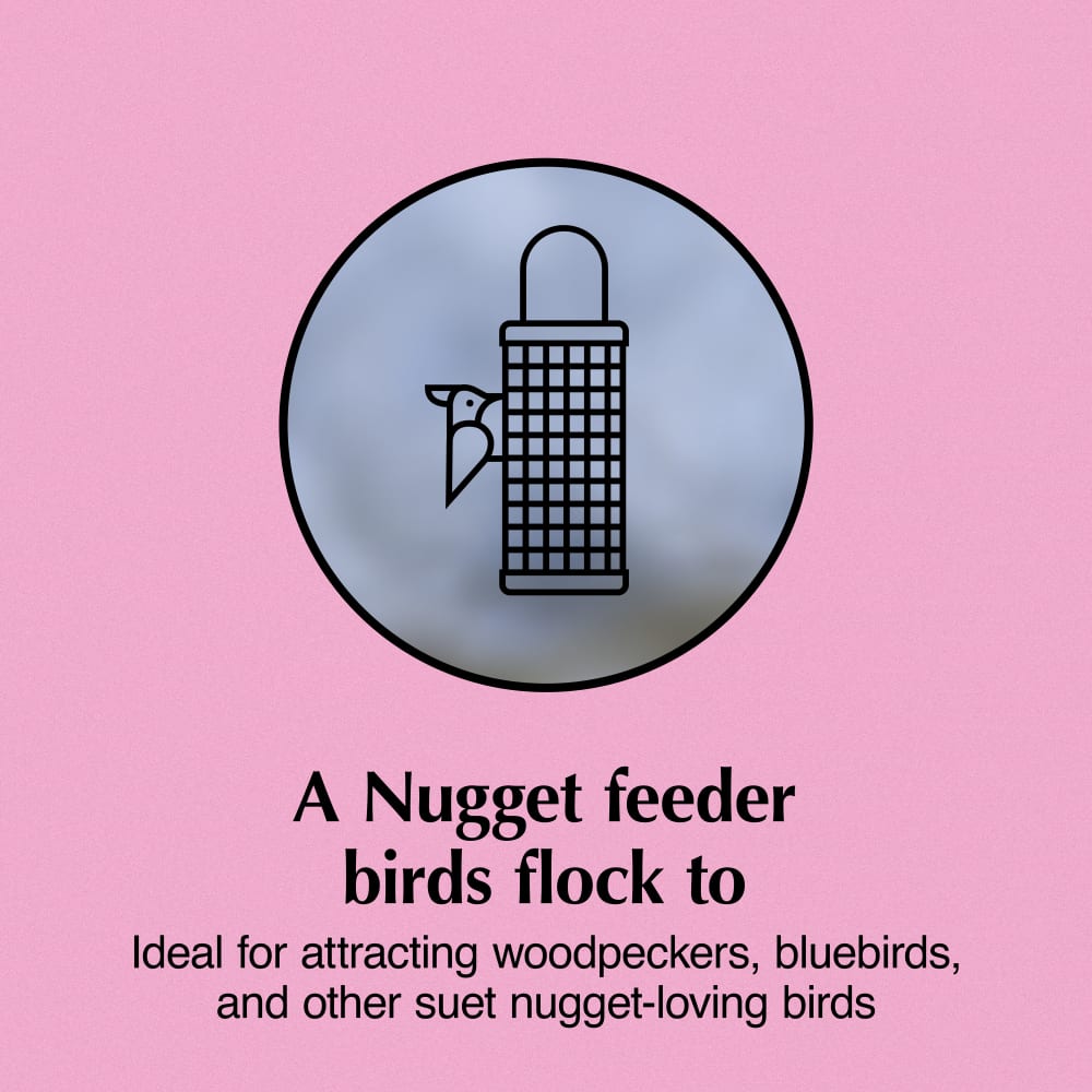 A Nugget feeder birds flock to