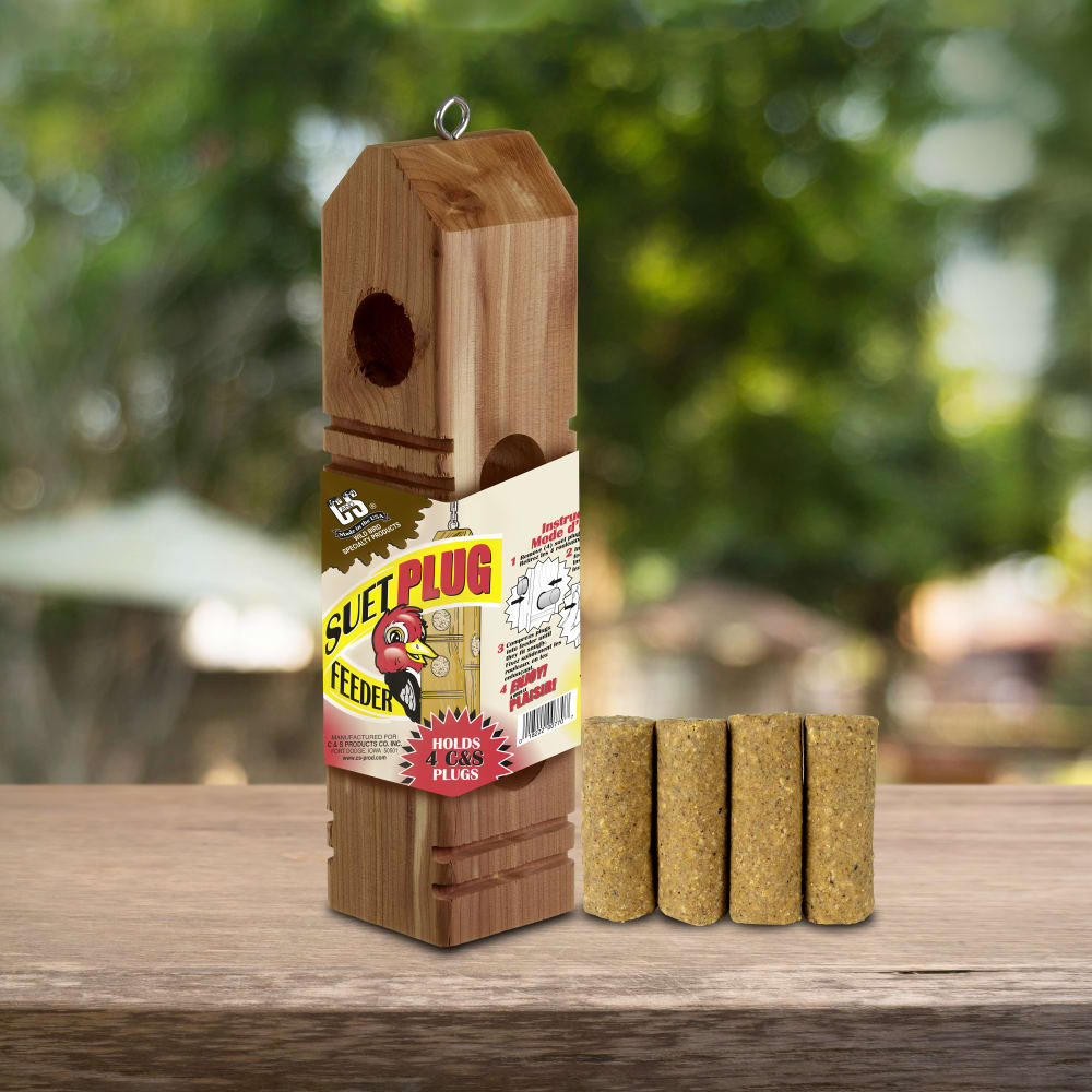 Up close shot of Plug feeder with suet plugs on table