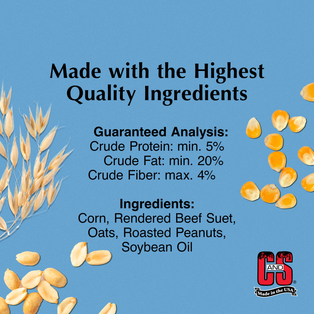 woodpeckersongbird-infographic01