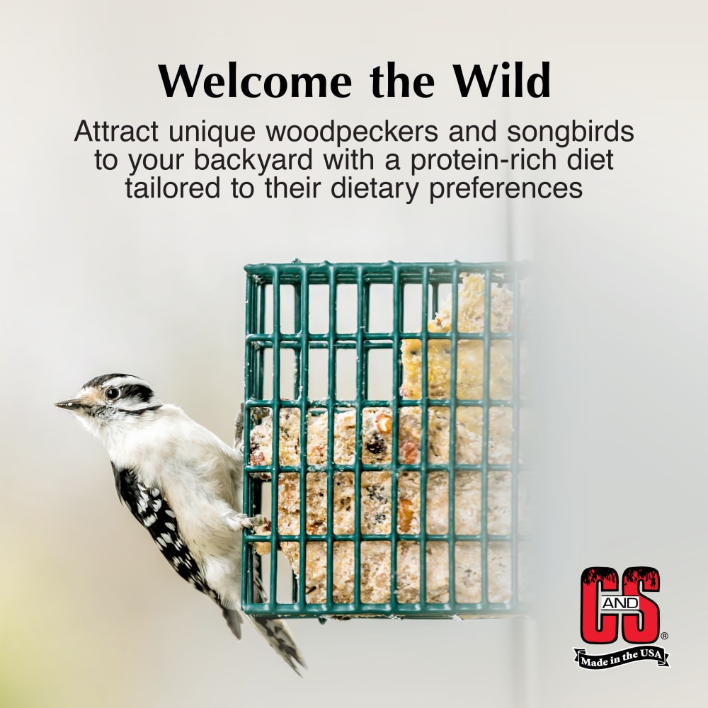 woodpeckersongbird-infographic02
