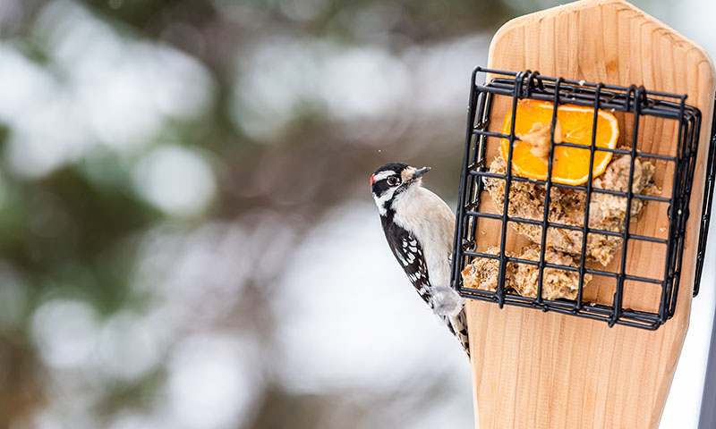 creating-your-year-round-strategy